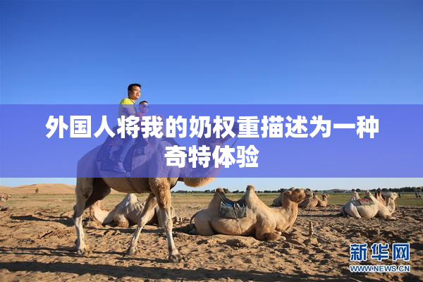 外国人将我的奶权重描述为一种奇特体验