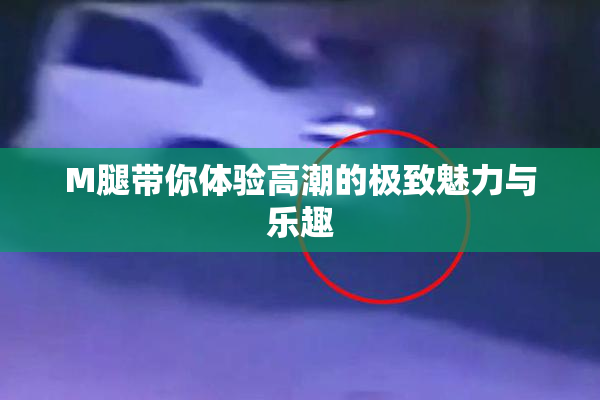 M腿带你体验高潮的极致魅力与乐趣