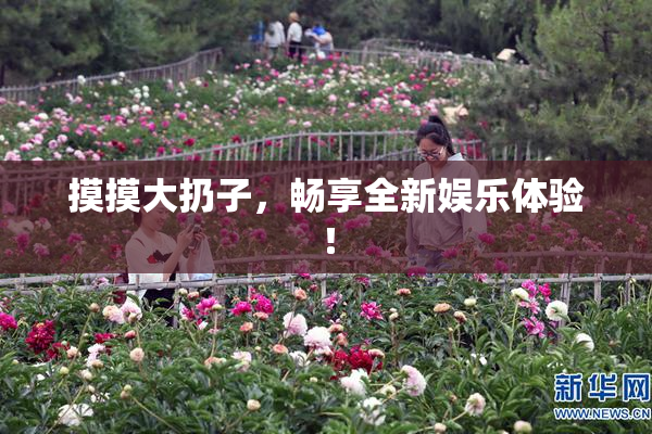 摸摸大扔子，畅享全新娱乐体验！