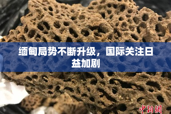 缅甸局势不断升级，国际关注日益加剧
