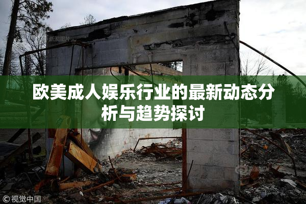 欧美成人娱乐行业的最新动态分析与趋势探讨