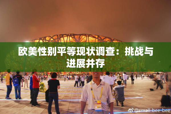 欧美性别平等现状调查：挑战与进展并存