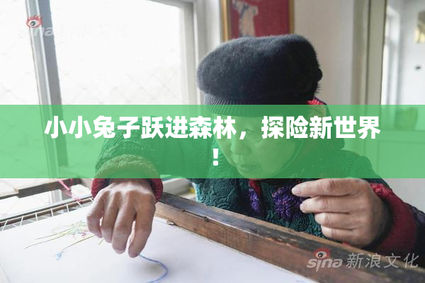 小小兔子跃进森林，探险新世界！
