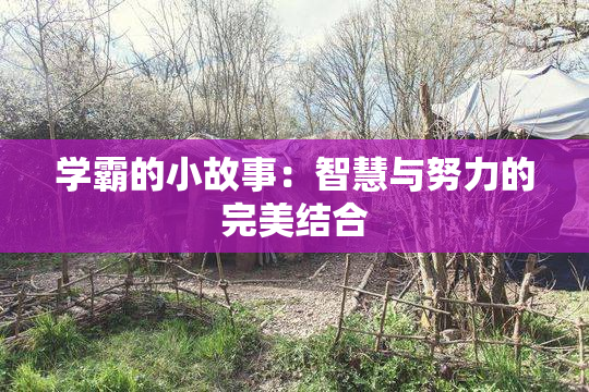学霸的小故事：智慧与努力的完美结合