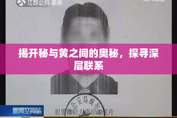 揭开秘与黄之间的奥秘，探寻深层联系