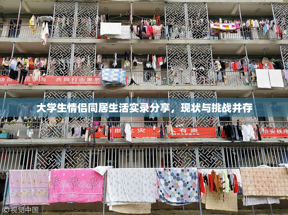 大学生情侣同居生活实录分享，现状与挑战并存