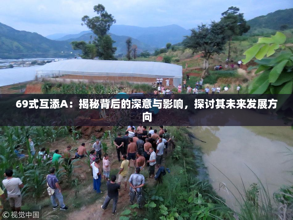 69式互添A：揭秘背后的深意与影响，探讨其未来发展方向