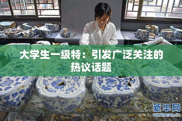 大学生一级特：引发广泛关注的热议话题