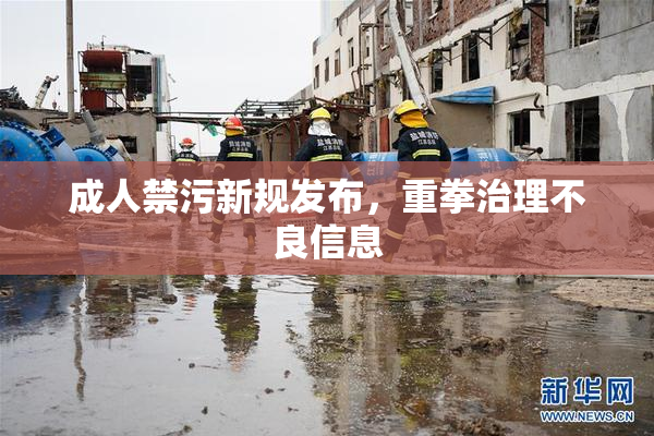 成人禁污新规发布，重拳治理不良信息