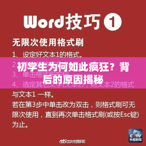初学生为何如此疯狂？背后的原因揭秘