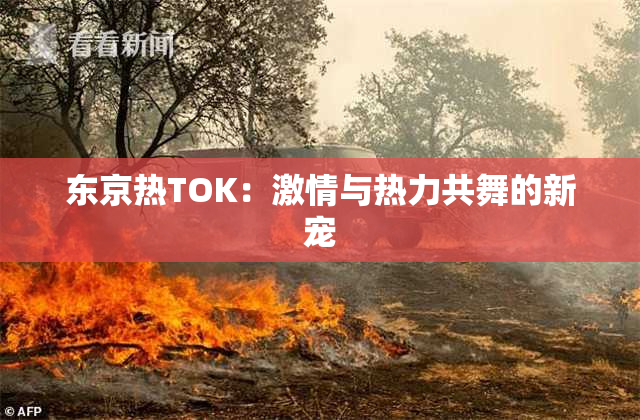 东京热TOK：激情与热力共舞的新宠