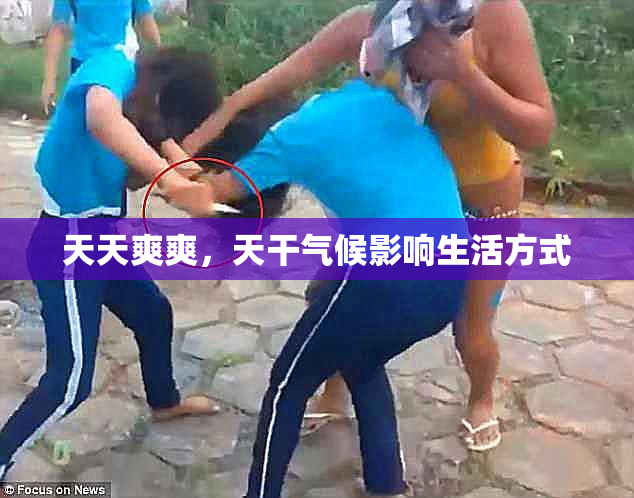 天天爽爽，天干气候影响生活方式
