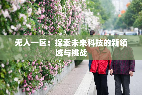 无人一区：探索未来科技的新领域与挑战