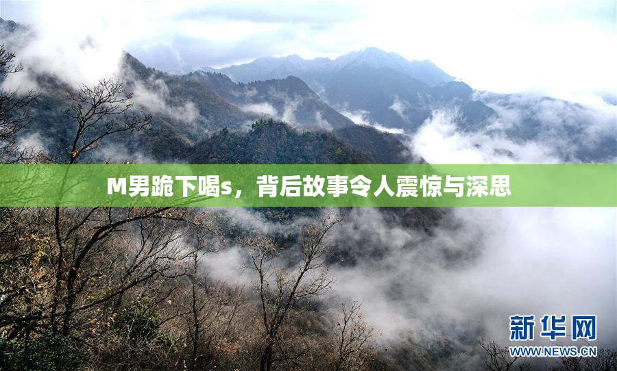 M男跪下喝s，背后故事令人震惊与深思