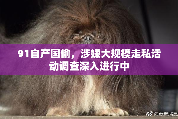 91自产国偷，涉嫌大规模走私活动调查深入进行中