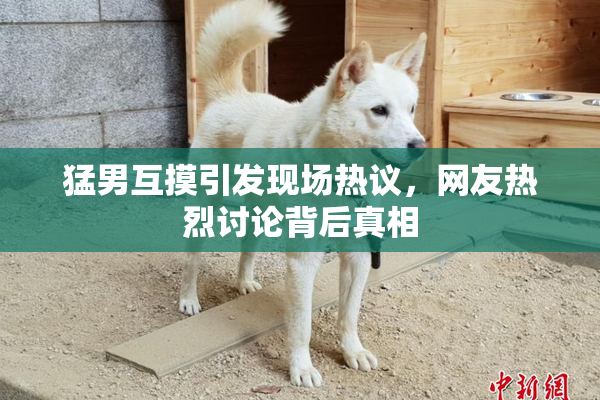 猛男互摸引发现场热议，网友热烈讨论背后真相