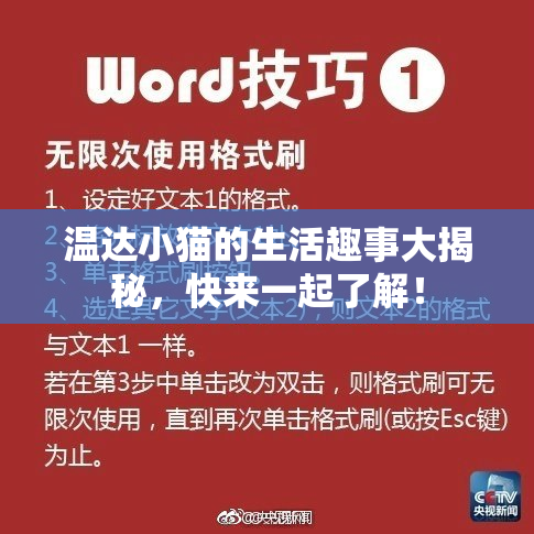温达小猫的生活趣事大揭秘，快来一起了解！