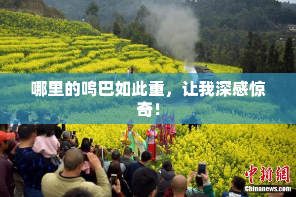哪里的鸣巴如此重，让我深感惊奇！