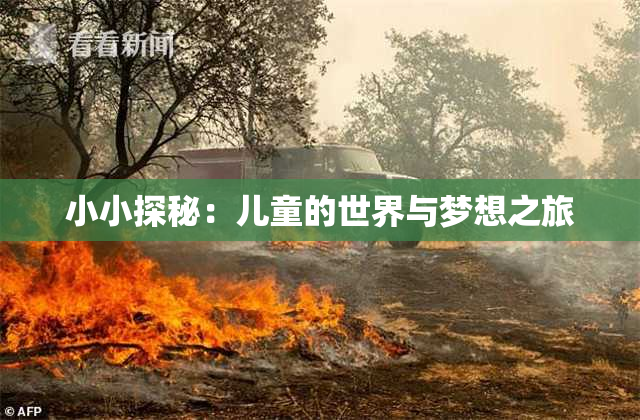 小小探秘：儿童的世界与梦想之旅