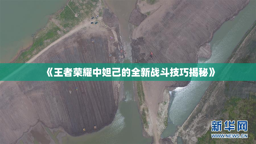 《王者荣耀中妲己的全新战斗技巧揭秘》