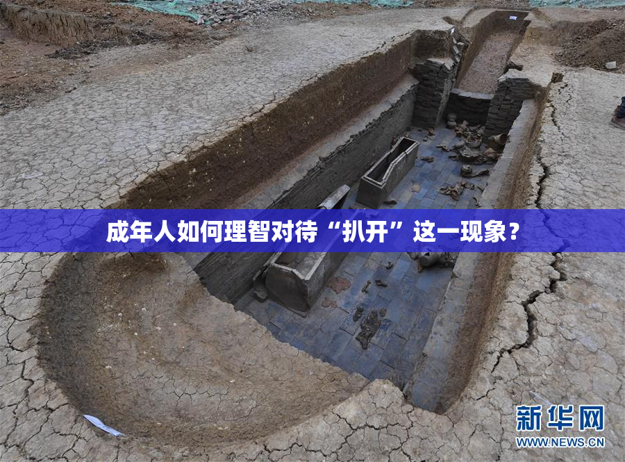 成年人如何理智对待“扒开”这一现象？