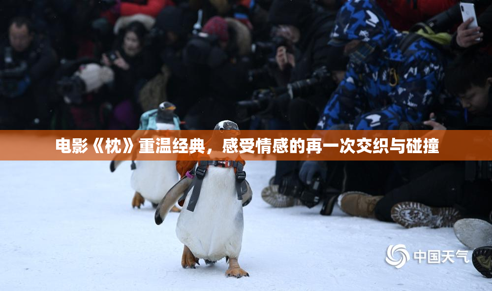 电影《枕》重温经典，感受情感的再一次交织与碰撞