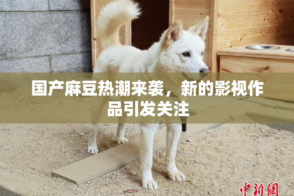 国产麻豆热潮来袭，新的影视作品引发关注
