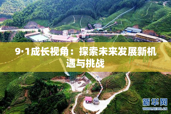 9·1成长视角：探索未来发展新机遇与挑战
