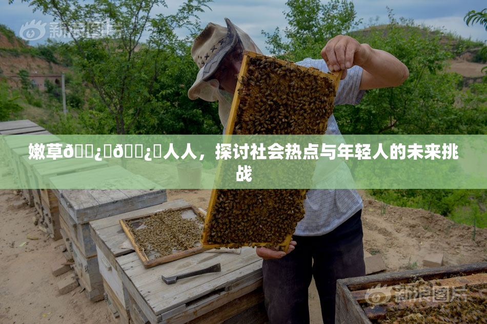 嫩草🌿‌🌿‌人人，探讨社会热点与年轻人的未来挑战