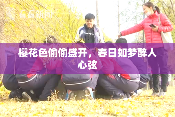 樱花色偷偷盛开，春日如梦醉人心弦