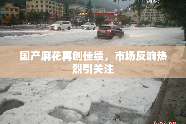 国产麻花再创佳绩，市场反响热烈引关注