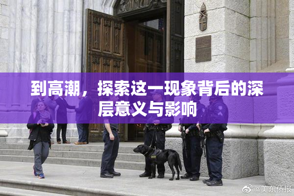 到高潮，探索这一现象背后的深层意义与影响