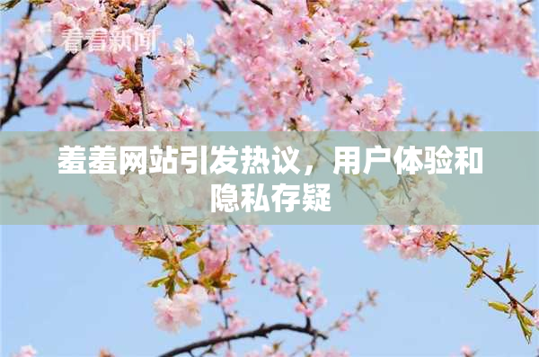 羞羞网站引发热议，用户体验和隐私存疑