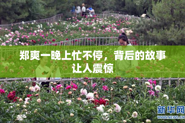 郑爽一晚上忙不停，背后的故事让人震惊