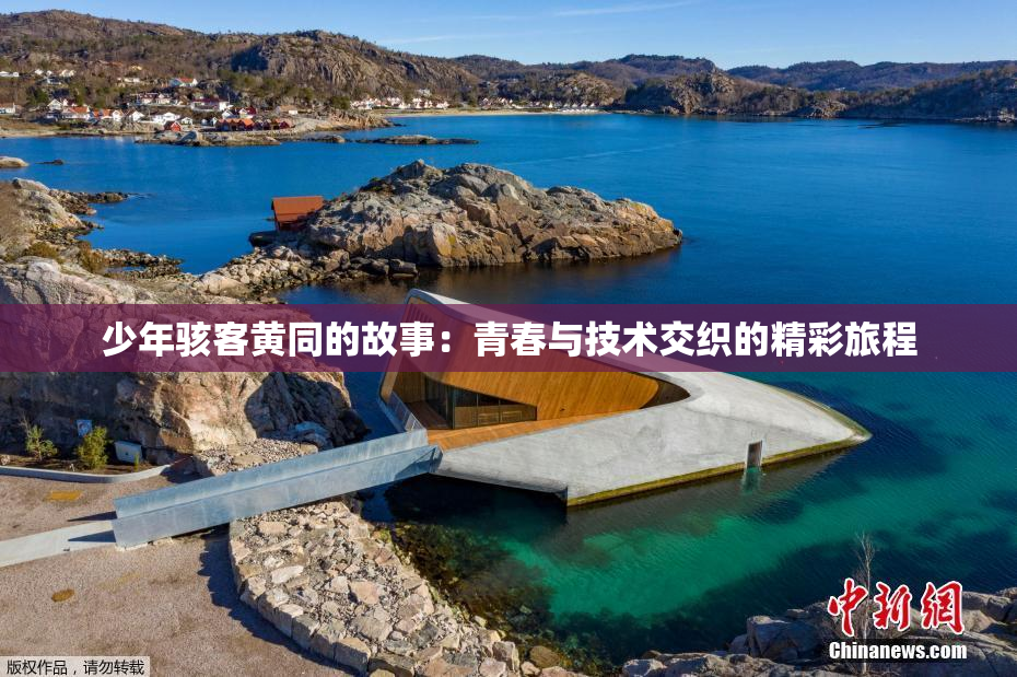 少年骇客黄同的故事：青春与技术交织的精彩旅程