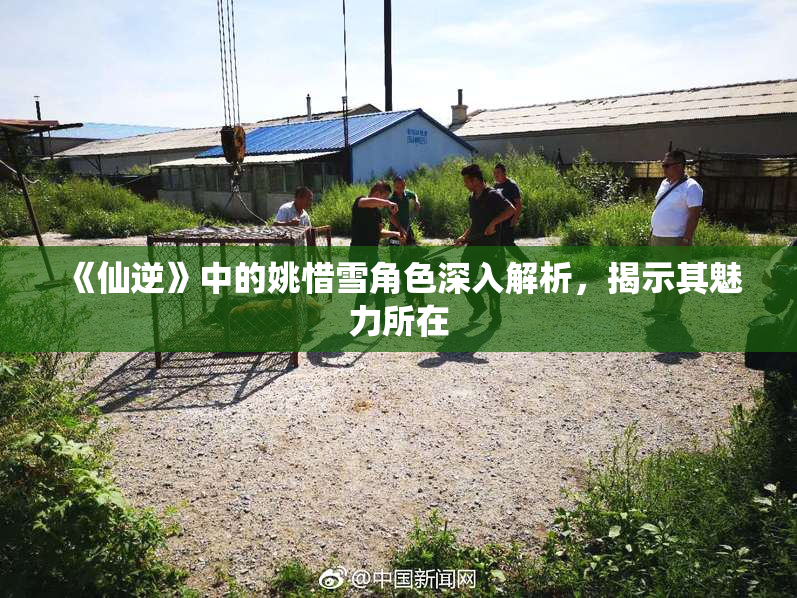 《仙逆》中的姚惜雪角色深入解析，揭示其魅力所在