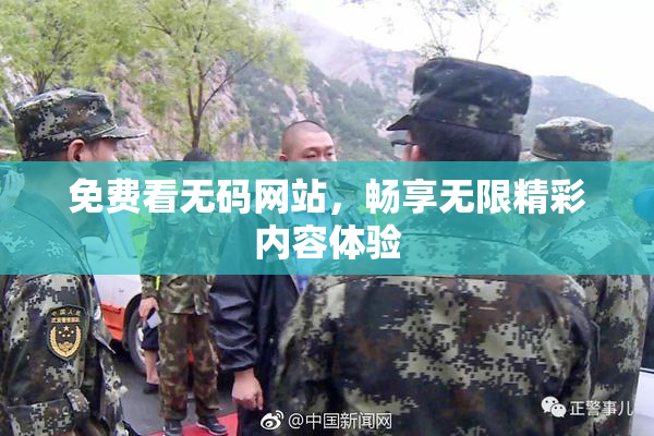 免费看无码网站，畅享无限精彩内容体验