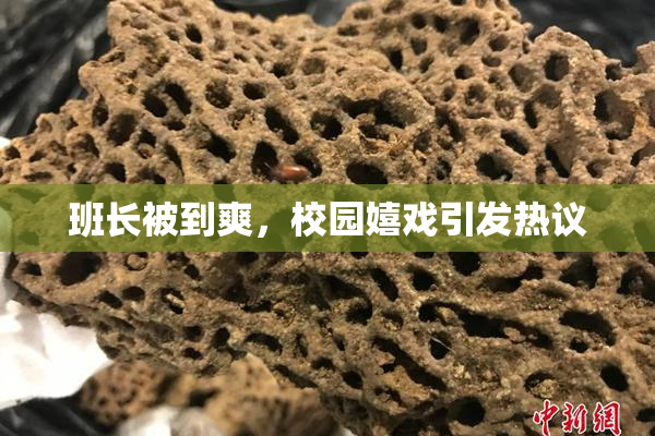 班长被到爽，校园嬉戏引发热议