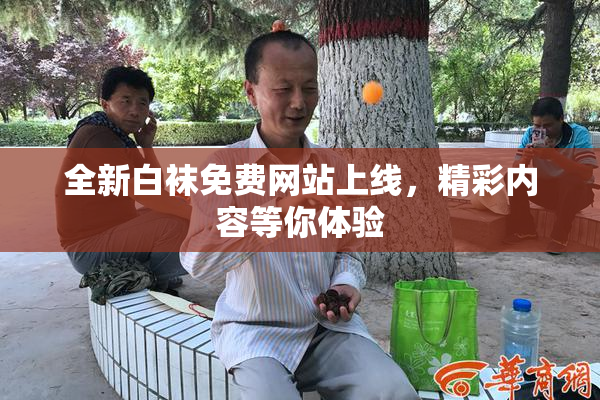 全新白袜免费网站上线，精彩内容等你体验