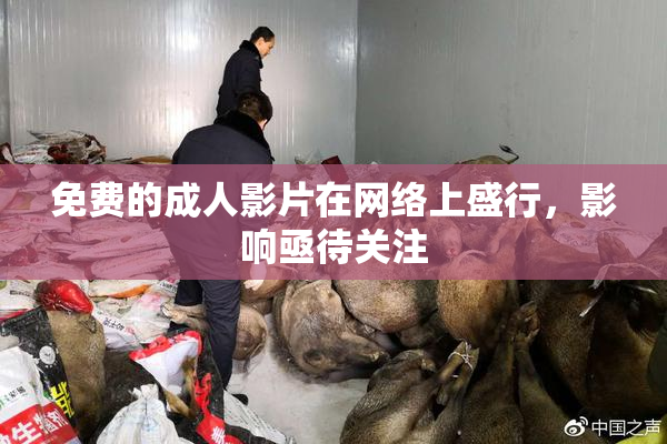 免费的成人影片在网络上盛行，影响亟待关注