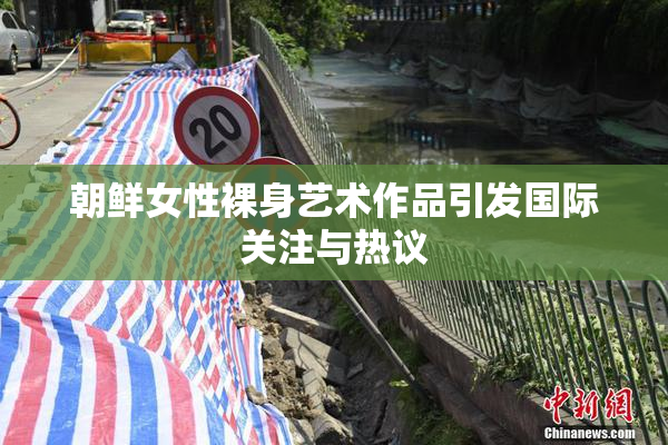 朝鲜女性裸身艺术作品引发国际关注与热议