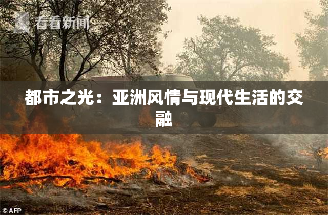 都市之光：亚洲风情与现代生活的交融