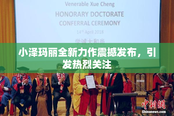 小泽玛丽全新力作震撼发布，引发热烈关注