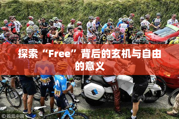 探索“Free”背后的玄机与自由的意义