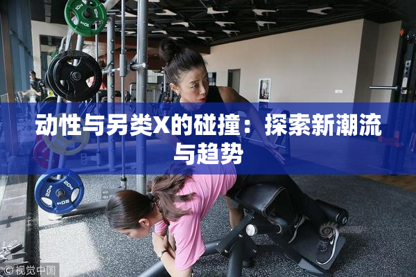 动性与另类X的碰撞：探索新潮流与趋势
