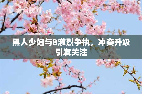 黑人少妇与B激烈争执，冲突升级引发关注