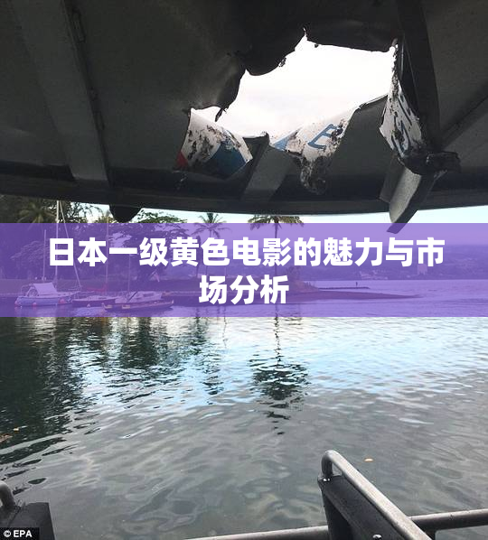 日本一级黄色电影的魅力与市场分析