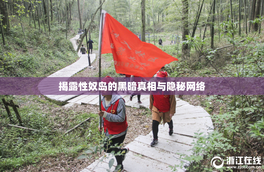 揭露性奴岛的黑暗真相与隐秘网络