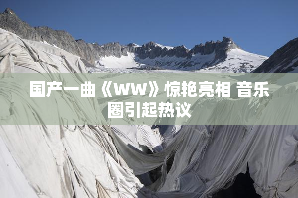 国产一曲《WW》惊艳亮相 音乐圈引起热议