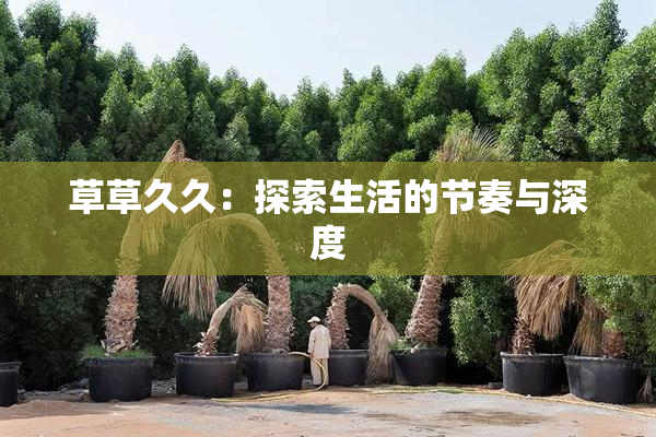 草草久久：探索生活的节奏与深度